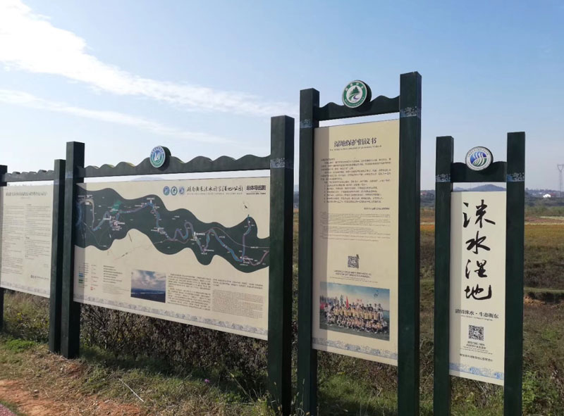 ��ꖾ��^(q��)������