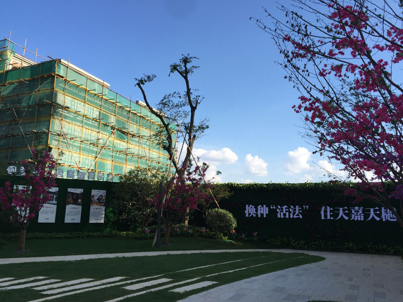 ���С�^(q��)����