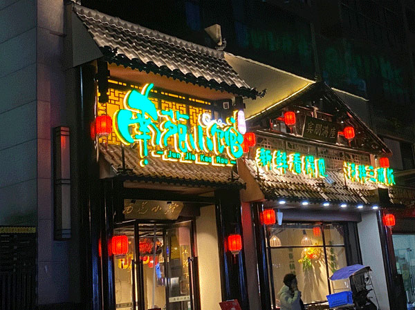 �T�^�p�Ӱl(f��)����